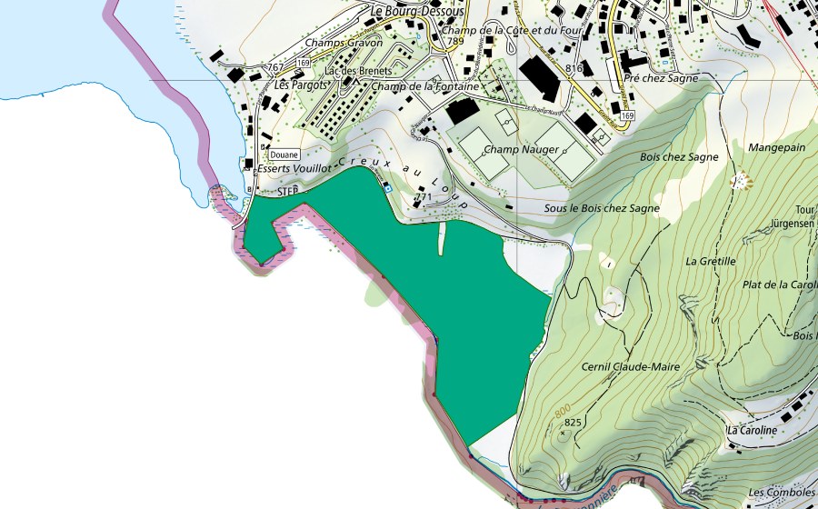 swisstopo national map showing the protected perimeter of Les Goudebas (Fen)