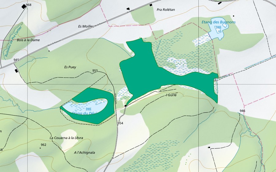 swisstopo national map showing the protected perimeter of Les Gurles (Fen)