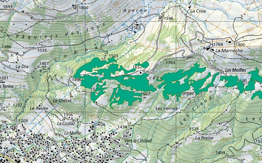 Carte nationale swisstopo avec le périmètre protégé de Les Moilles (Bas-marais)