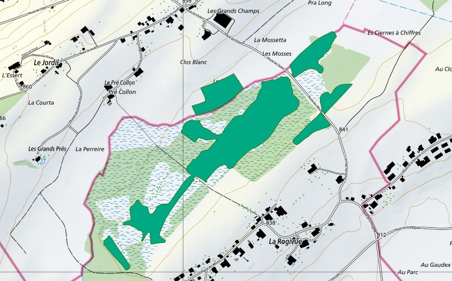 Carta nazionale swisstopo con il perimetro protetto di Les Mosses de la Rogivue (Torbiera bassa)