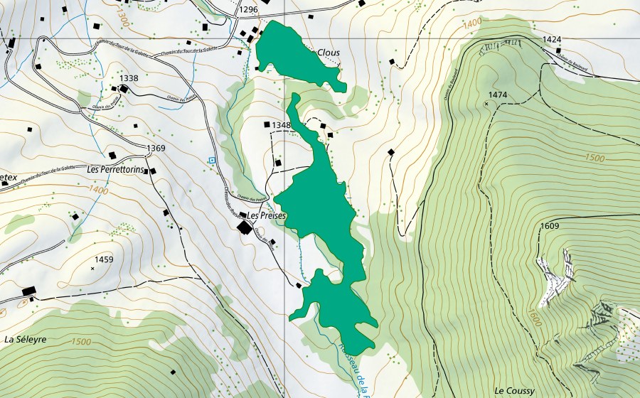 Landeskarte swisstopo mit dem Schutzperimeter von Les Preises (Flachmoor)