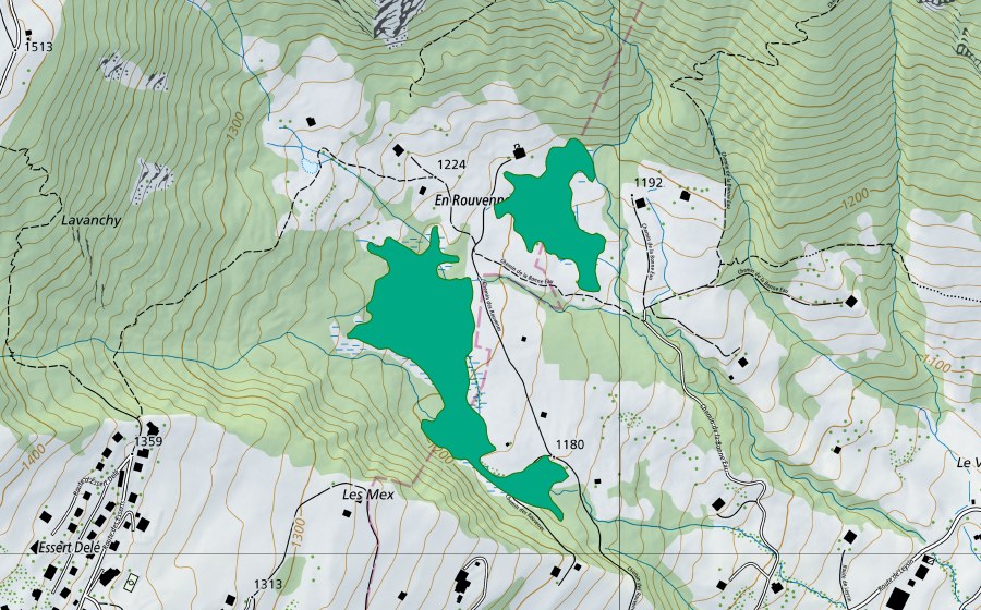 Landeskarte swisstopo mit dem Schutzperimeter von Les Rouvenes (Flachmoor)