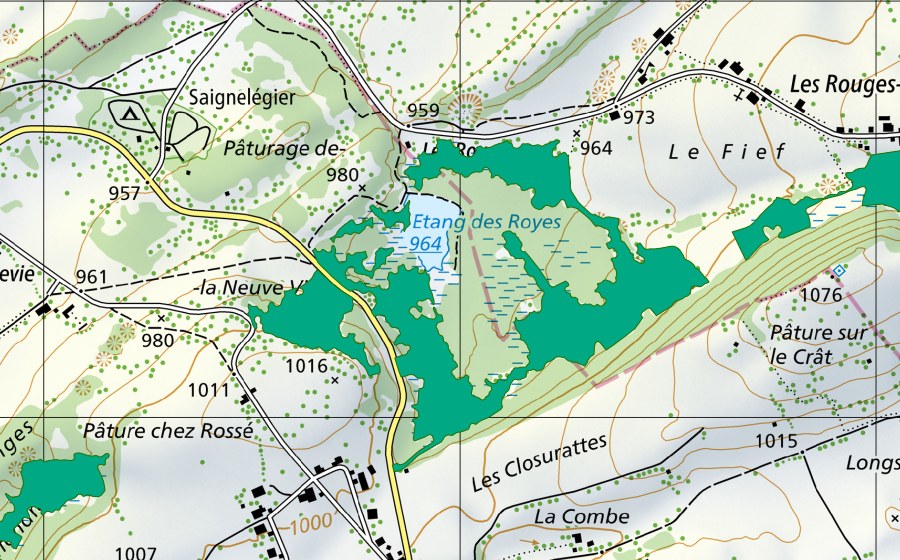 swisstopo national map showing the protected perimeter of Les Royes (Fen)