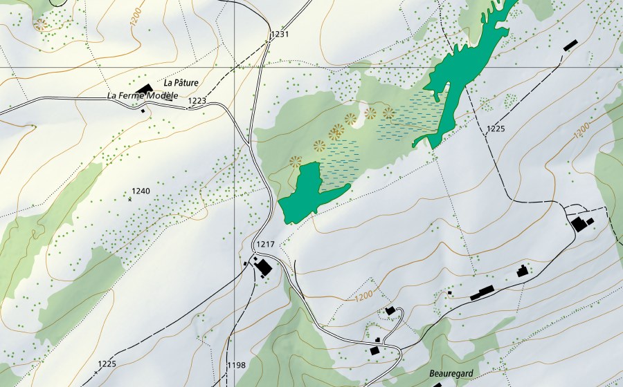 Landeskarte swisstopo mit dem Schutzperimeter von Les Saignolis I (Flachmoor)