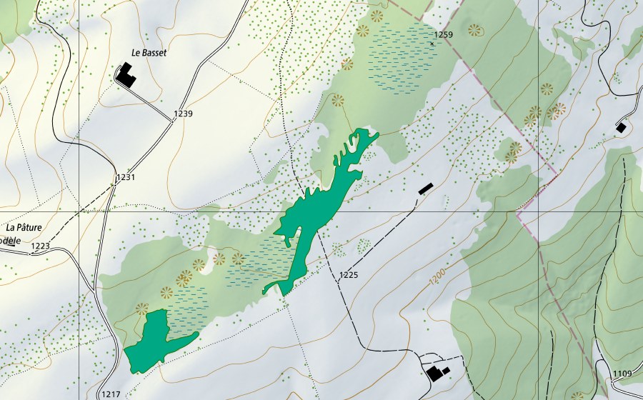 Landeskarte swisstopo mit dem Schutzperimeter von Les Saignolis II (Flachmoor)