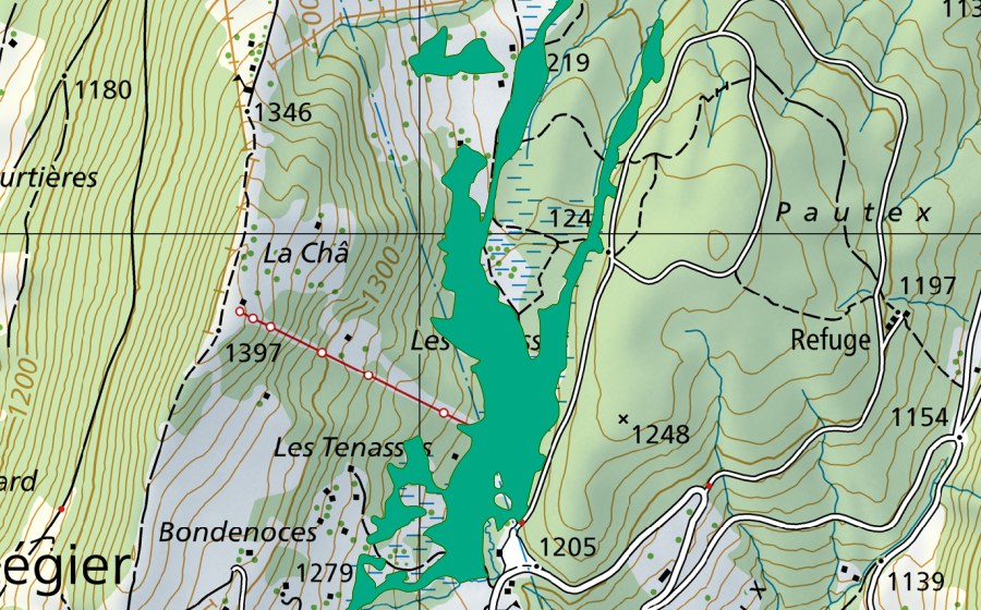 Landeskarte swisstopo mit dem Schutzperimeter von Les Tenasses (Flachmoor)