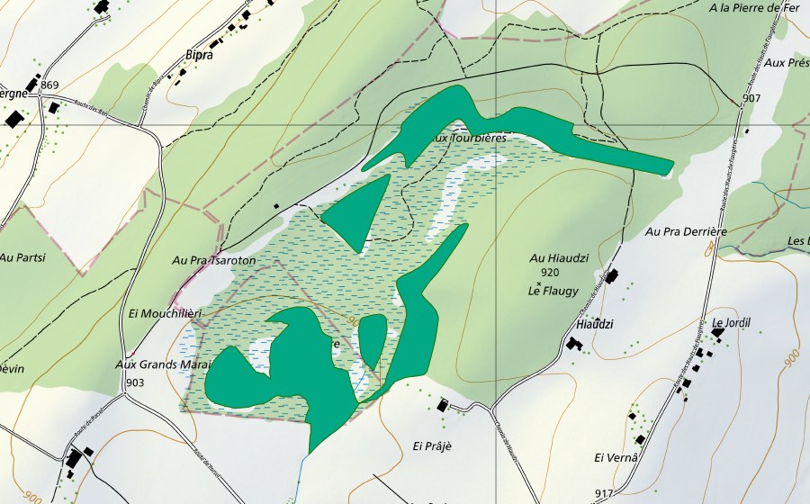 Landeskarte swisstopo mit dem Schutzperimeter von Les Tourbières (Flachmoor)