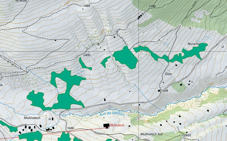 Carte nationale swisstopo avec le périmètre protégé de Liets (Bas-marais)
