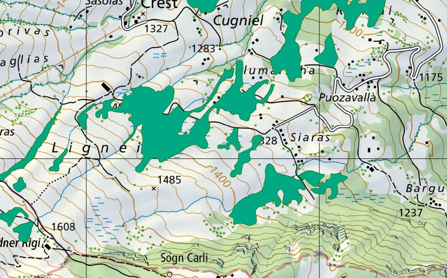 swisstopo national map showing the protected perimeter of Ligneida (Fen)