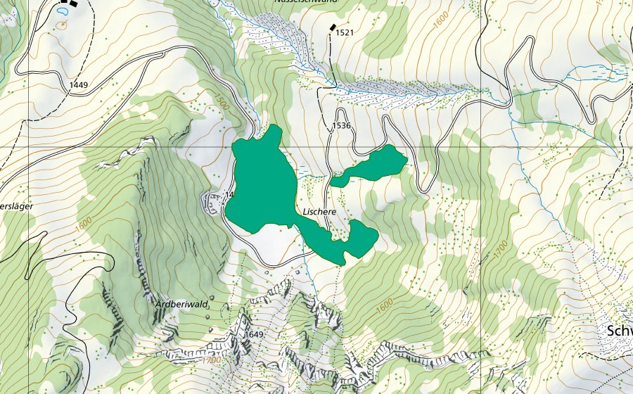 Landeskarte swisstopo mit dem Schutzperimeter von Lischeren (Flachmoor)