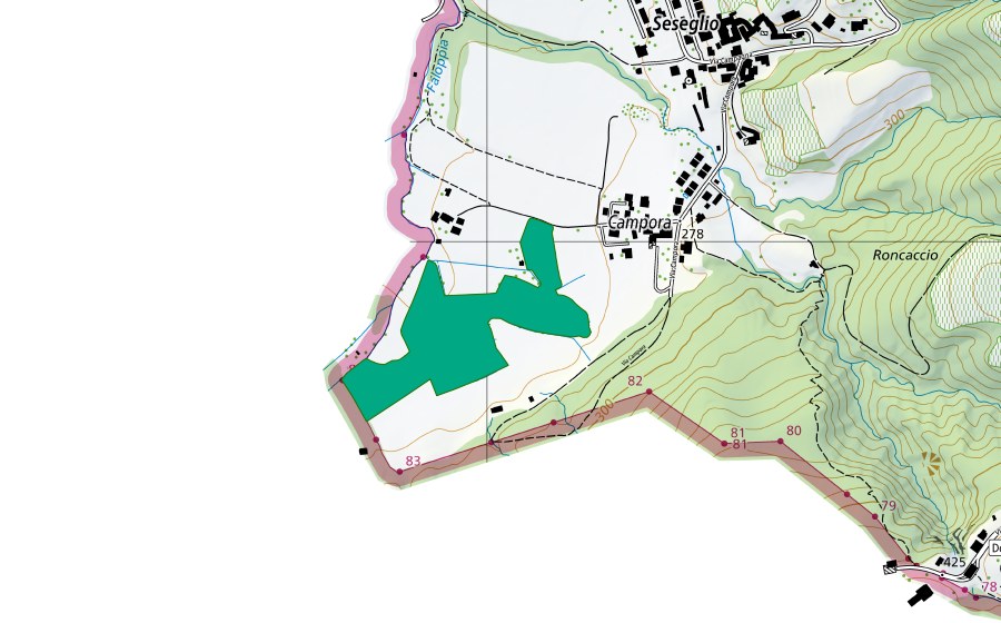 Landeskarte swisstopo mit dem Schutzperimeter von Lischetto Fossèe Seseglio (Flachmoor)
