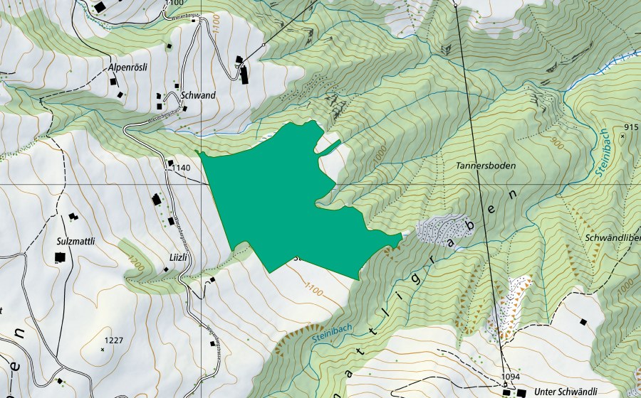 Landeskarte swisstopo mit dem Schutzperimeter von Litzli (Flachmoor)