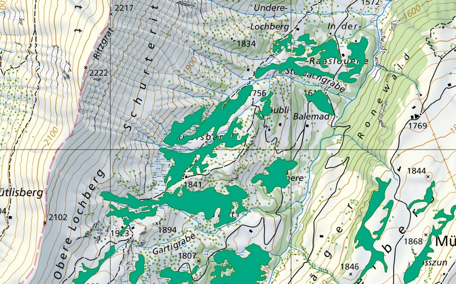 Carta nazionale swisstopo con il perimetro protetto di Lochberg (Torbiera bassa)