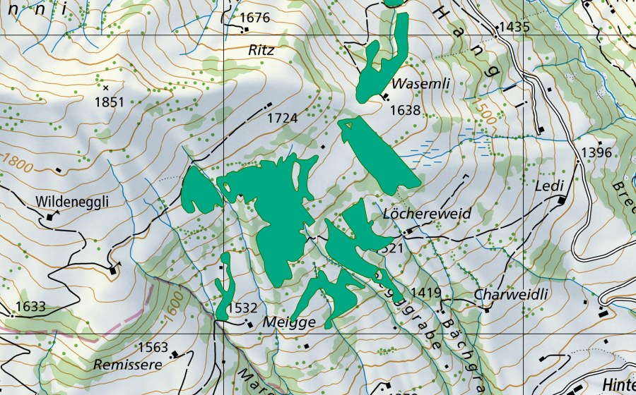 swisstopo national map showing the protected perimeter of Löchereweid (Fen)