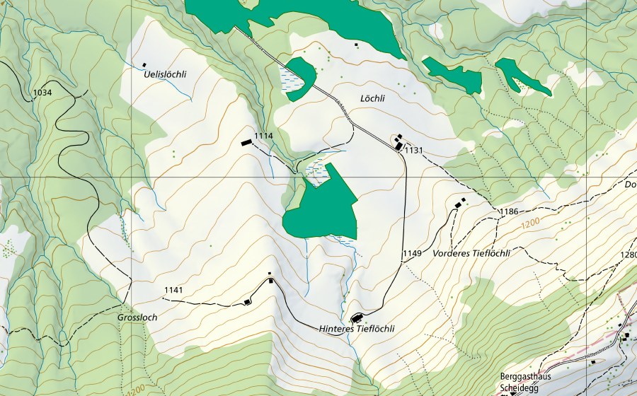 swisstopo national map showing the protected perimeter of Löchli (Fen)