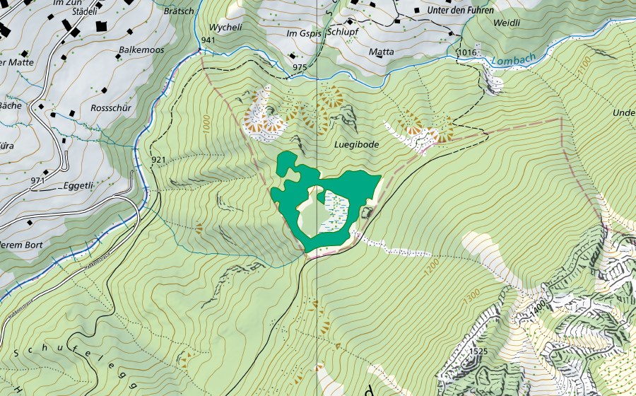 swisstopo national map showing the protected perimeter of Luegiboden (Fen)