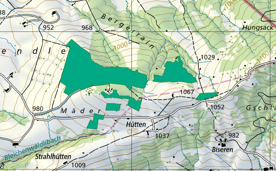 Carta nazionale swisstopo con il perimetro protetto di Mäder/Bergrain (Torbiera bassa)