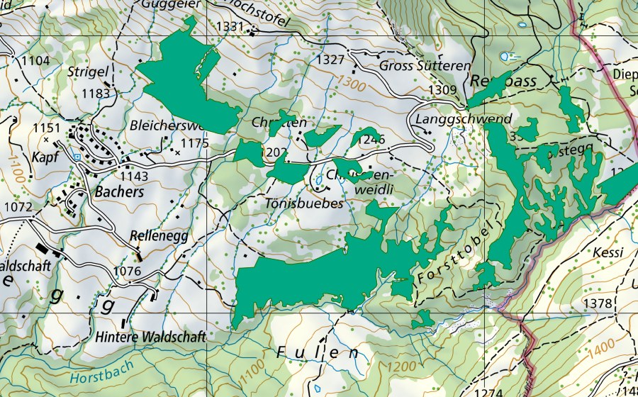 Landeskarte swisstopo mit dem Schutzperimeter von Mäder (Flachmoor)