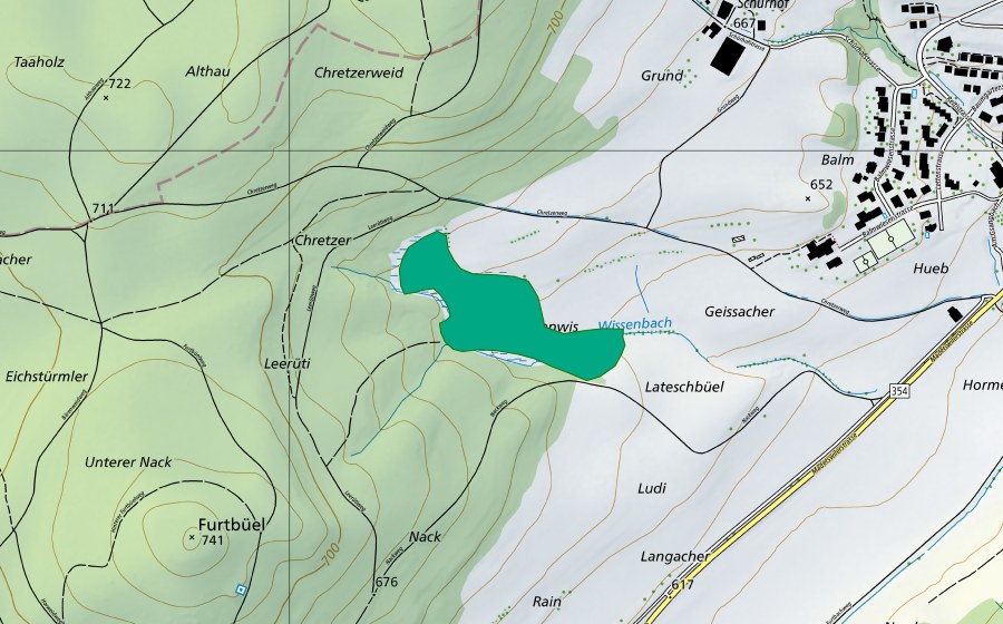 Carte nationale swisstopo avec le périmètre protégé de Madetswiler Riet (Bas-marais)