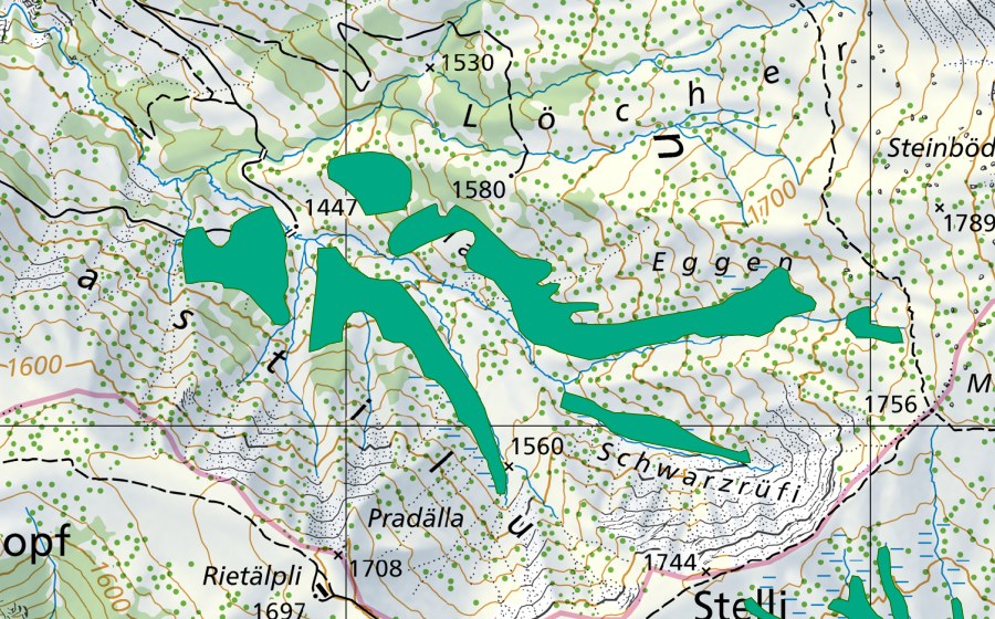 Carte nationale swisstopo avec le périmètre protégé de Malunriet (Bas-marais)