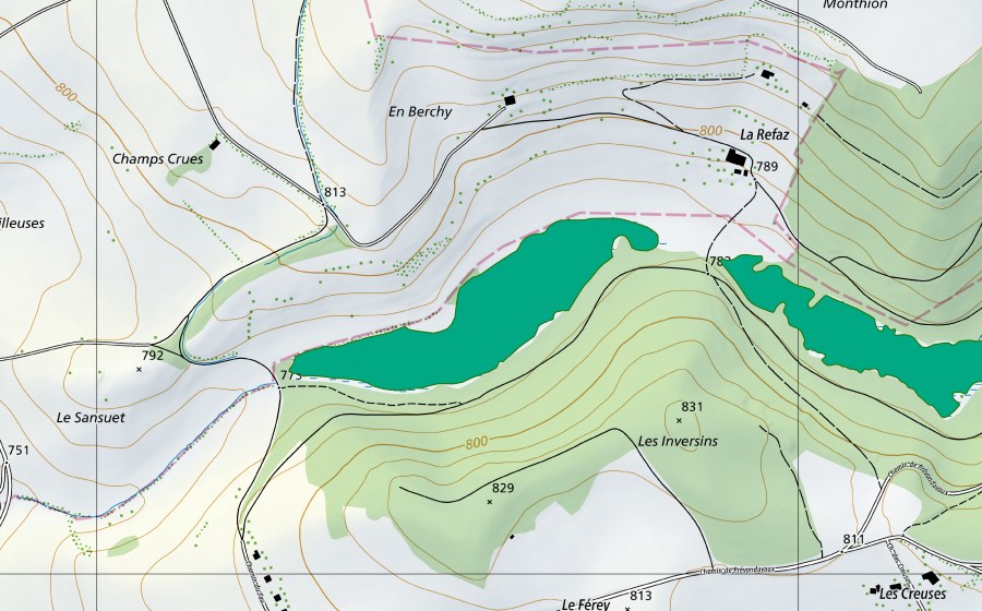 Carte nationale swisstopo avec le périmètre protégé de Marais de Bercher (Bas-marais)