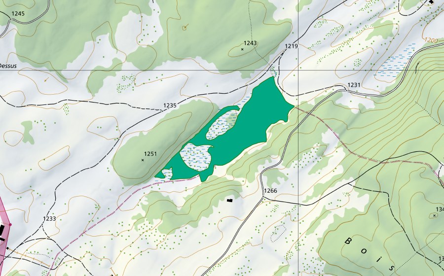 Carte nationale swisstopo avec le périmètre protégé de Marais de la Trélasse (Bas-marais)