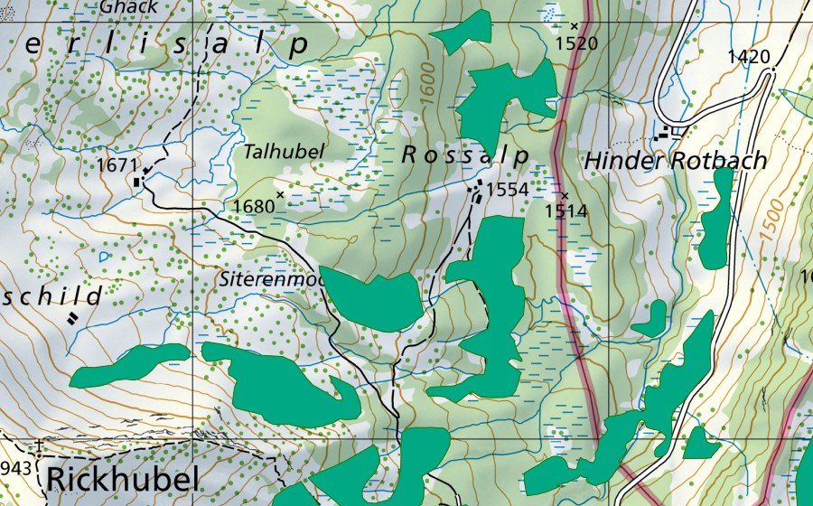 Landeskarte swisstopo mit dem Schutzperimeter von Marchmettlen (Flachmoor)