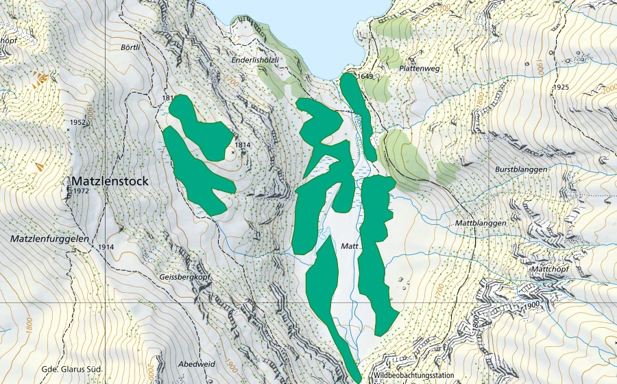 swisstopo national map showing the protected perimeter of Matt (Fen)