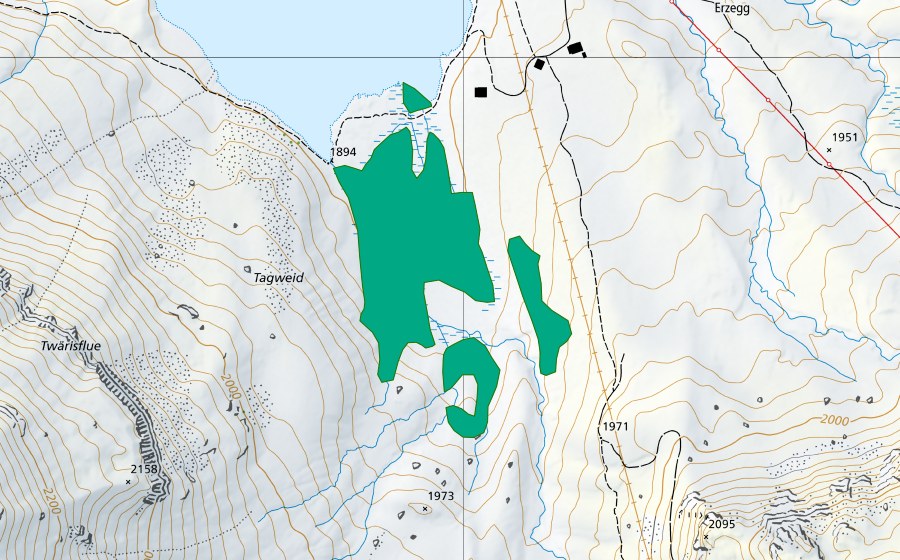 Landeskarte swisstopo mit dem Schutzperimeter von Melchsee (Flachmoor)
