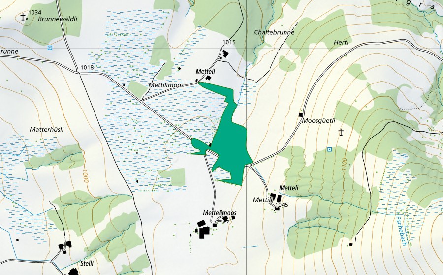 Landeskarte swisstopo mit dem Schutzperimeter von Mettilimoos (Flachmoor)