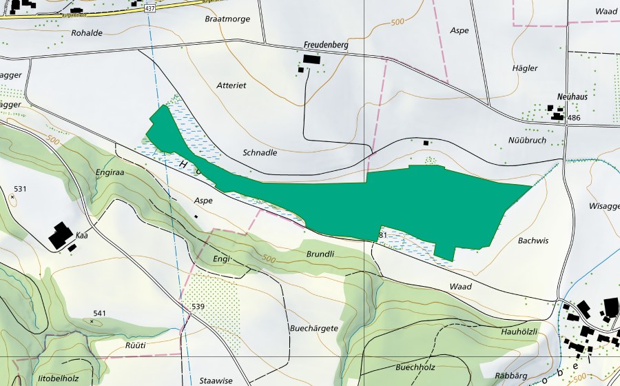 Landeskarte swisstopo mit dem Schutzperimeter von Mettlen Moos (Flachmoor)
