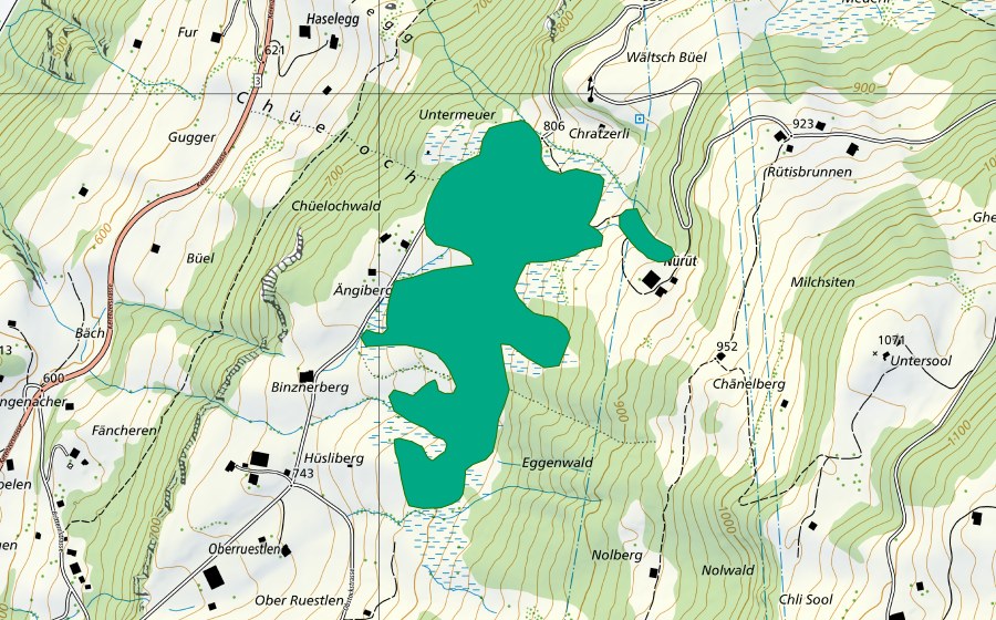 Carte nationale swisstopo avec le périmètre protégé de Meur bei Britteren (Bas-marais)