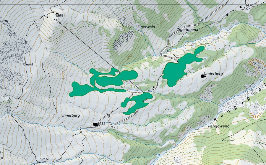 Landeskarte swisstopo mit dem Schutzperimeter von Mittelberg (Flachmoor)