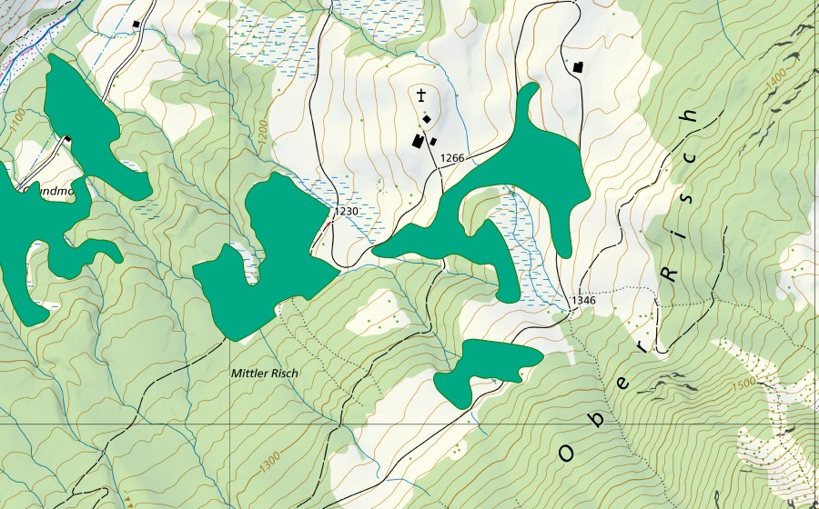 Carte nationale swisstopo avec le périmètre protégé de Mittler Risch (Bas-marais)