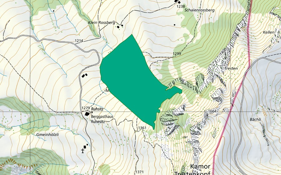 Carte nationale swisstopo avec le périmètre protégé de Mittlerer Rossberg (Bas-marais)