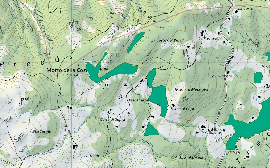 Carte nationale swisstopo avec le périmètre protégé de Monti di Medeglia Ovest (Bas-marais)