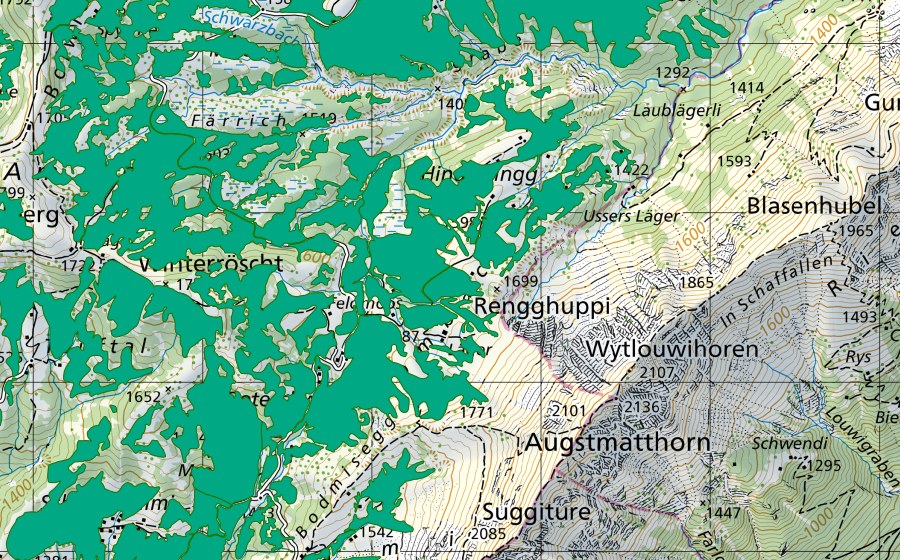 Landeskarte swisstopo mit dem Schutzperimeter von Moor bei Lombachalp (Flachmoor)