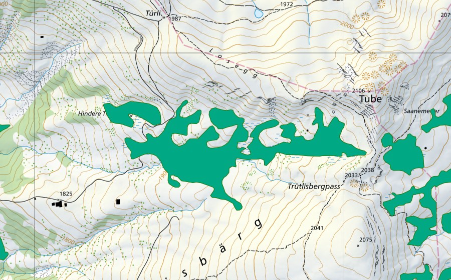 Carte nationale swisstopo avec le périmètre protégé de Moor östlich Trütlisbergpass (Bas-marais)
