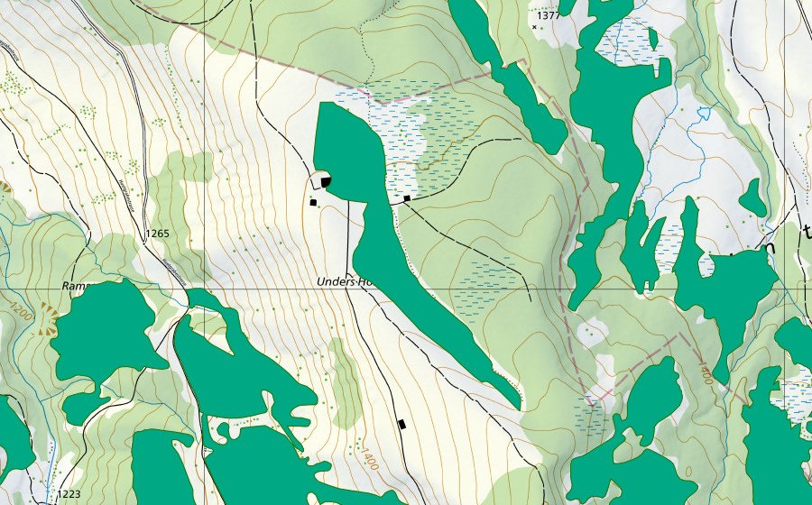 Landeskarte swisstopo mit dem Schutzperimeter von Moor östlich Unteres Hörnli (Flachmoor)
