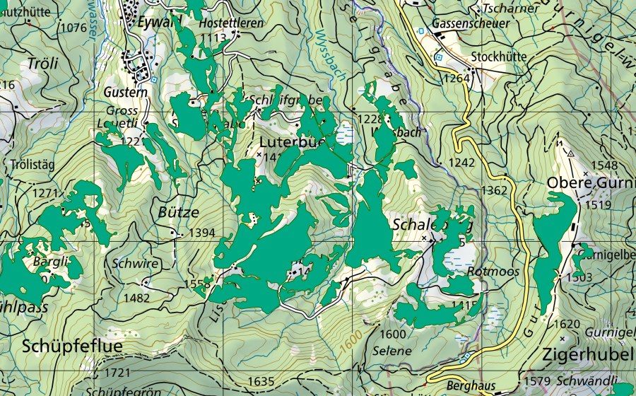Landeskarte swisstopo mit dem Schutzperimeter von Moor westl. Wissenbach/Gurnigel (Flachmoor)