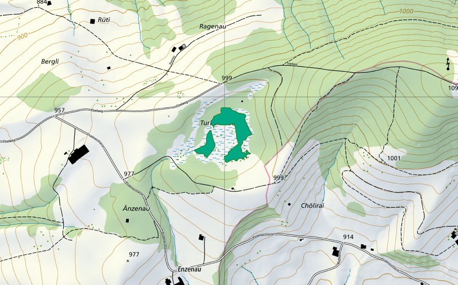 Landeskarte swisstopo mit dem Schutzperimeter von Moor westlich Etzel (Flachmoor)