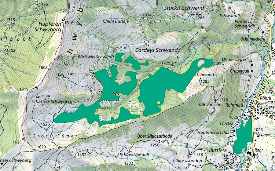 Landeskarte swisstopo mit dem Schutzperimeter von Moore am Schwyberg (Flachmoor)