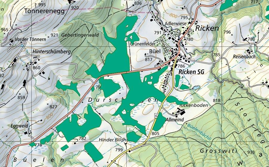swisstopo national map showing the protected perimeter of Moore auf dem Rickenpass (Fen)