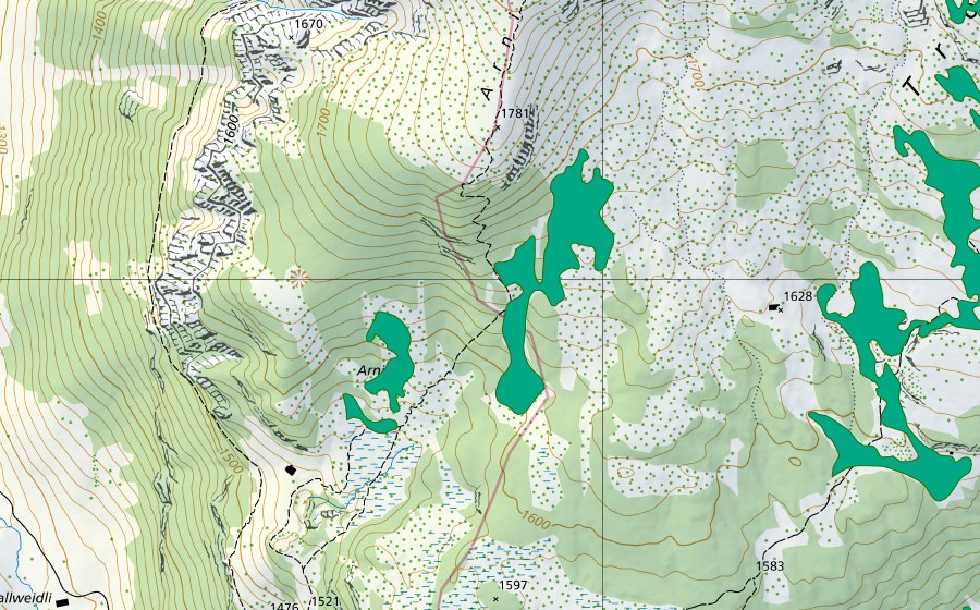 Carta nazionale swisstopo con il perimetro protetto di Moore nördl. Grünenbergpass (Torbiera bassa)