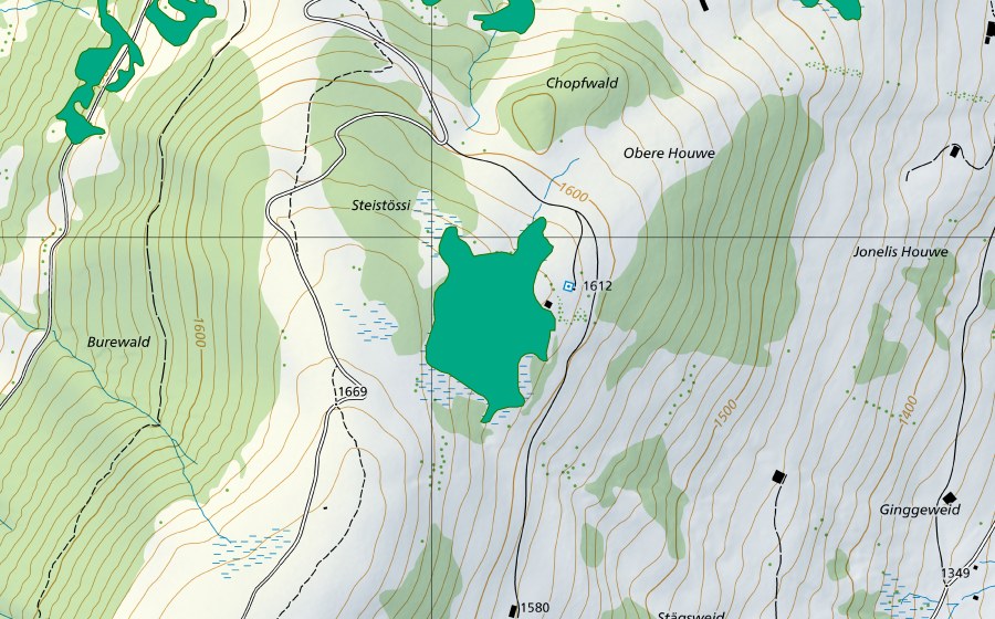 swisstopo national map showing the protected perimeter of Moore nördlich Toffelsweid (Fen)