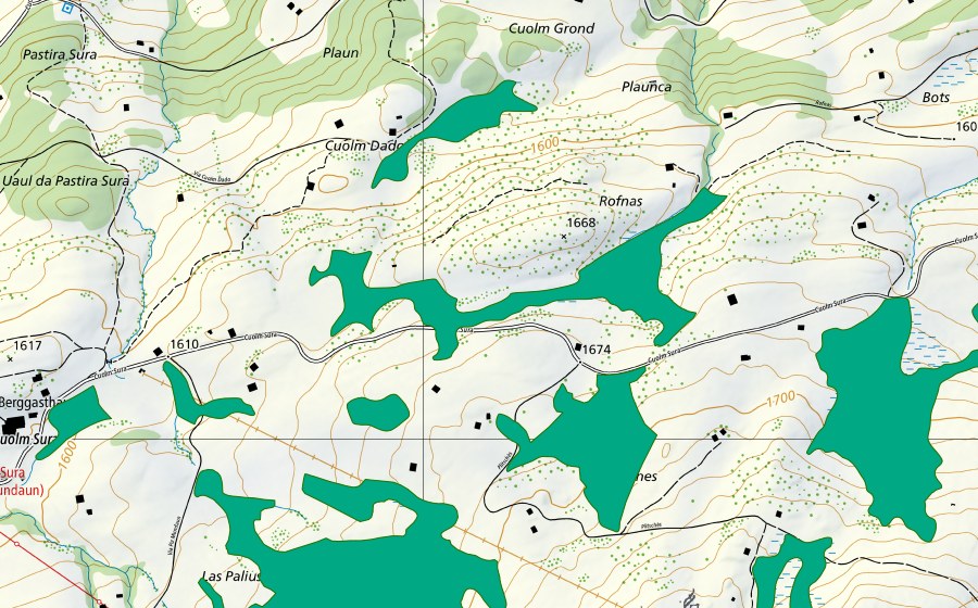 Landeskarte swisstopo mit dem Schutzperimeter von Moore nordwestlich Plitsches (Flachmoor)