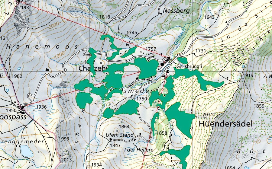 Carta nazionale swisstopo con il perimetro protetto di Moore oberhalb Geilsbüel (Torbiera bassa)