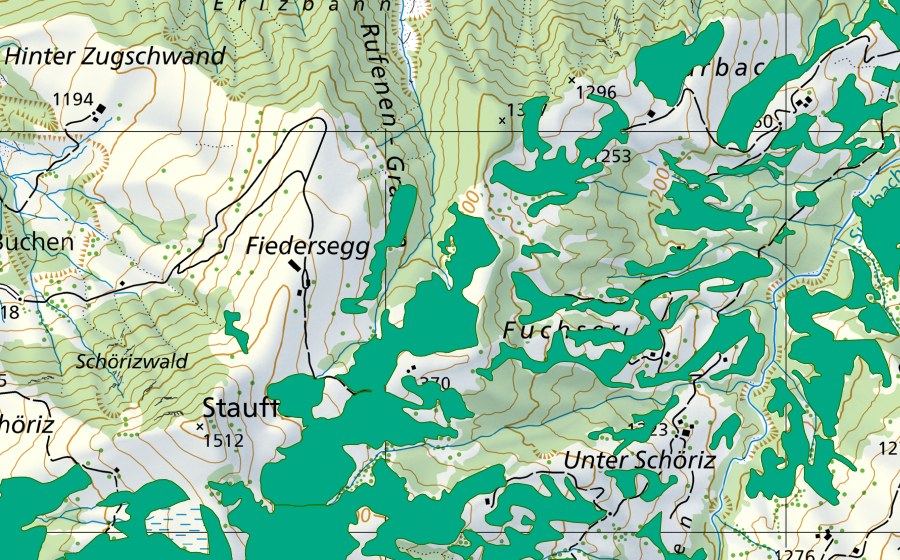 swisstopo national map showing the protected perimeter of Moore östlich Pfidertschegg (Fen)