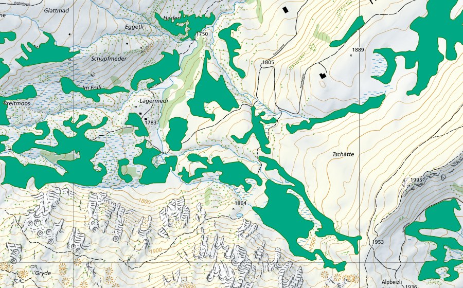Landeskarte swisstopo mit dem Schutzperimeter von Moore südwestlich Haslerberg (Flachmoor)