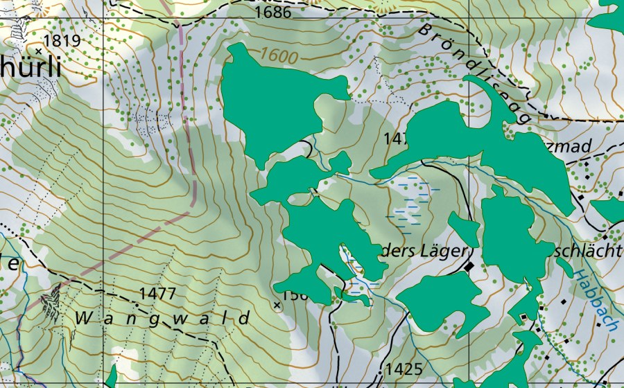 Carte nationale swisstopo avec le périmètre protégé de Moore westlich Bröndlisegg (Bas-marais)